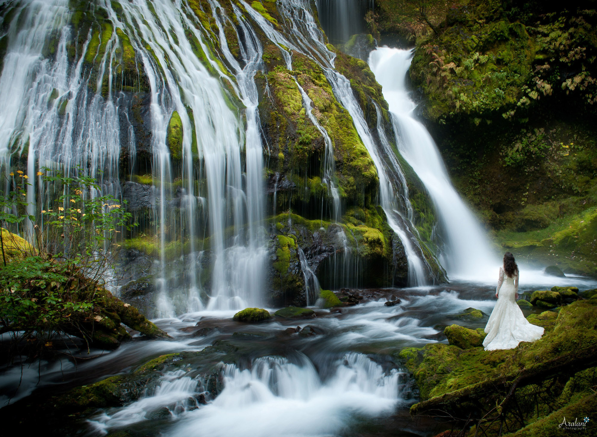 022_Erica-Jim-Panther-Creek-Falls-Washington-001-Wedding-Photographer-Aralani-Photography.jpg
