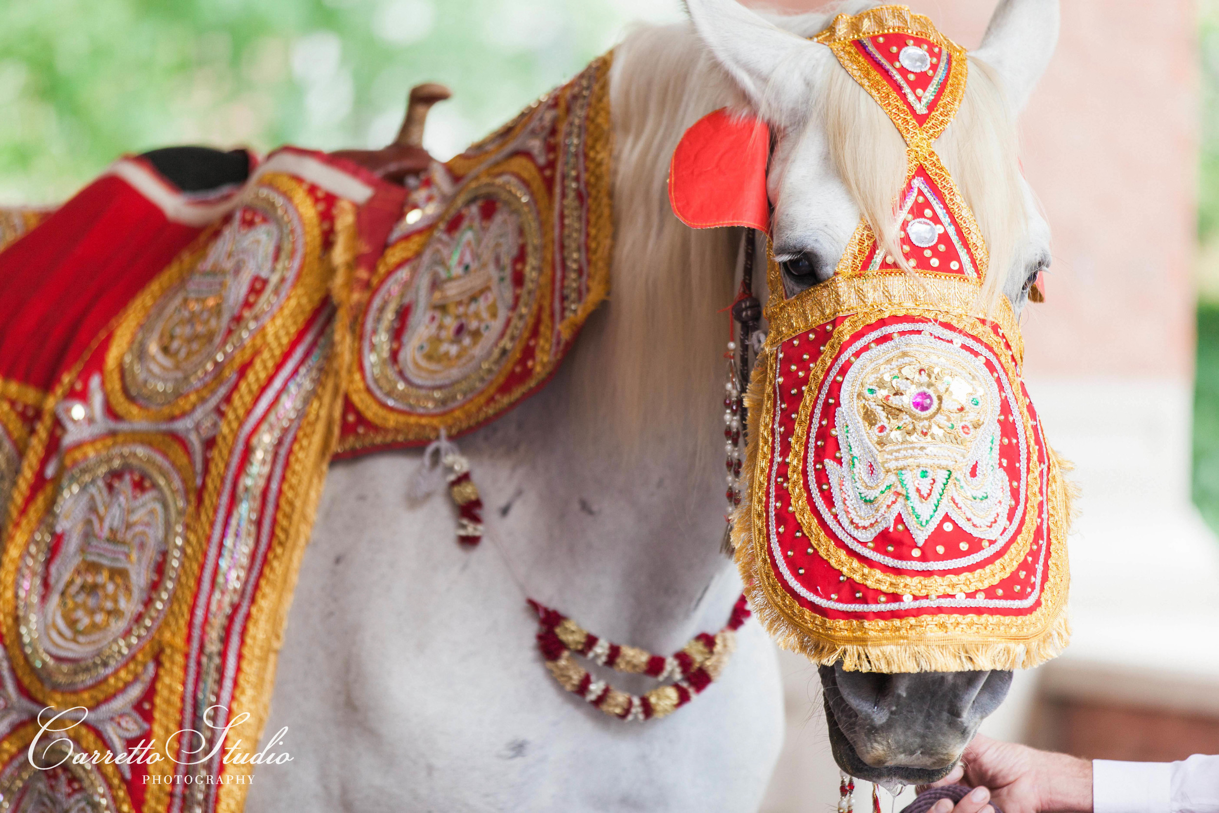 St. Louis Indian Wedding Photography-1031.jpg