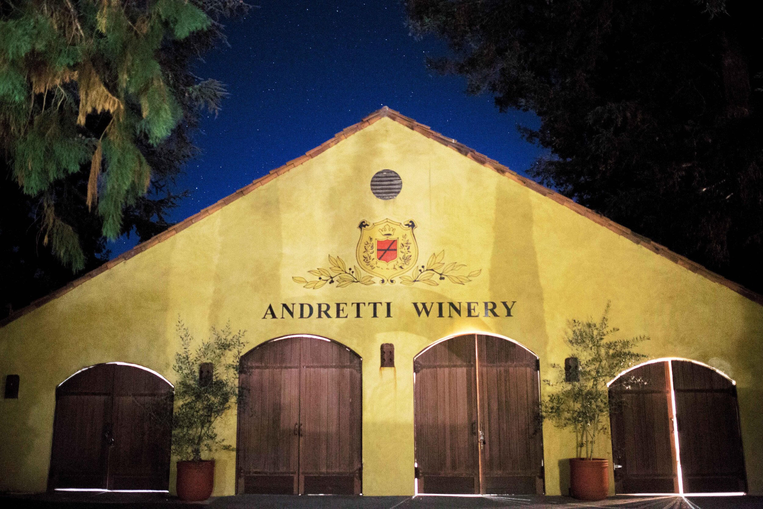 Andretti Winery Wedding Photos-1045.jpg