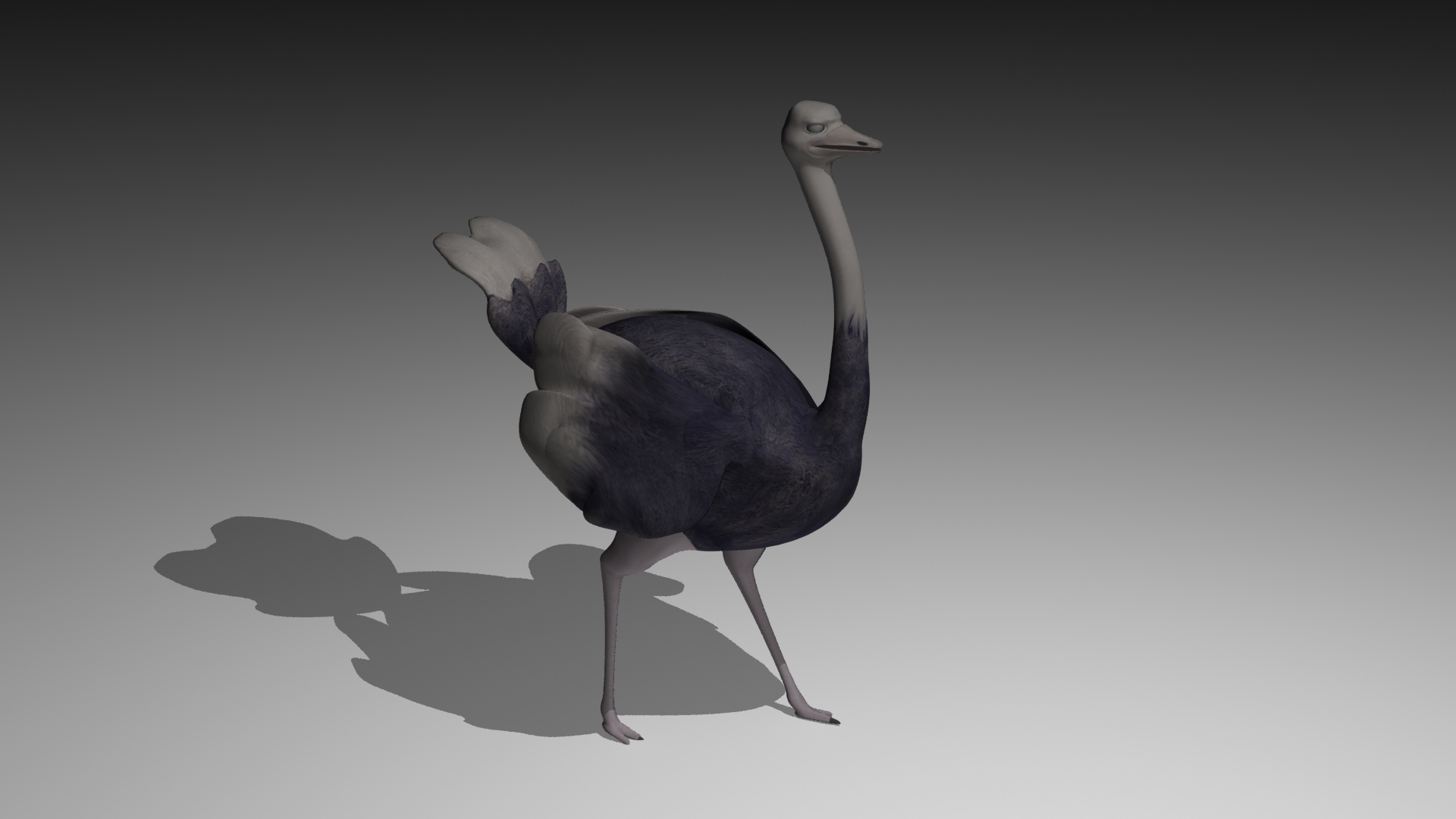 Neutral Pose