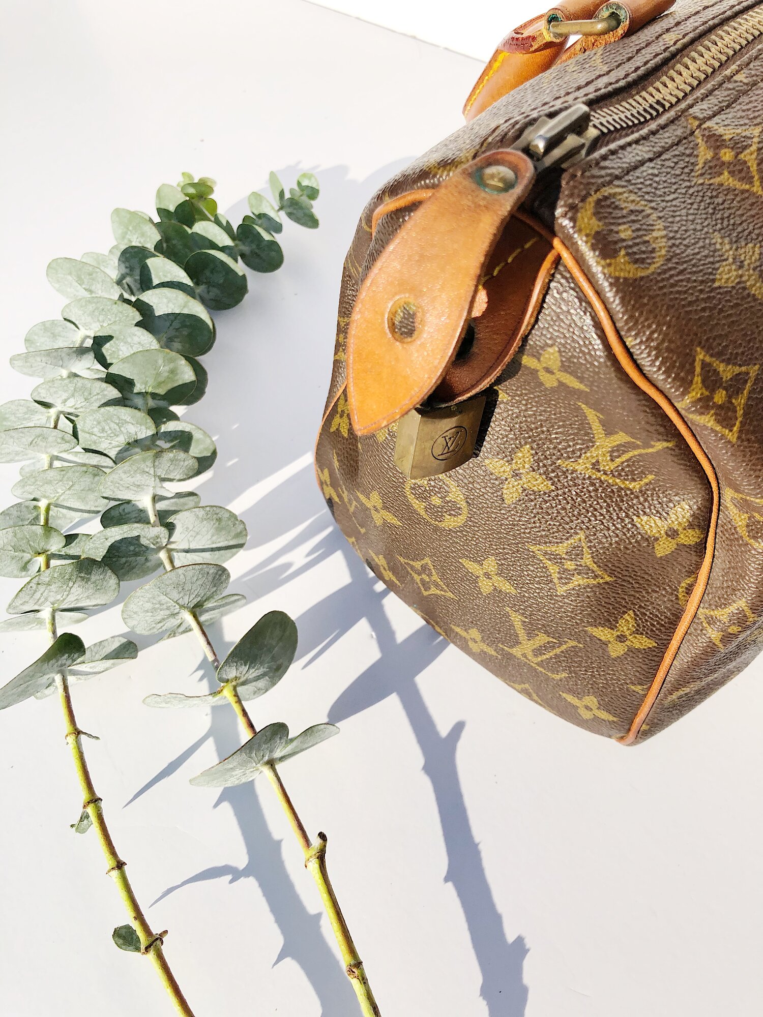 Shop for Louis Vuitton Monogram Canvas Leather Speedy 25 cm Bag