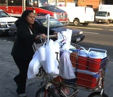 Program 24: Food Chains and  Portrait of a Street Vendor