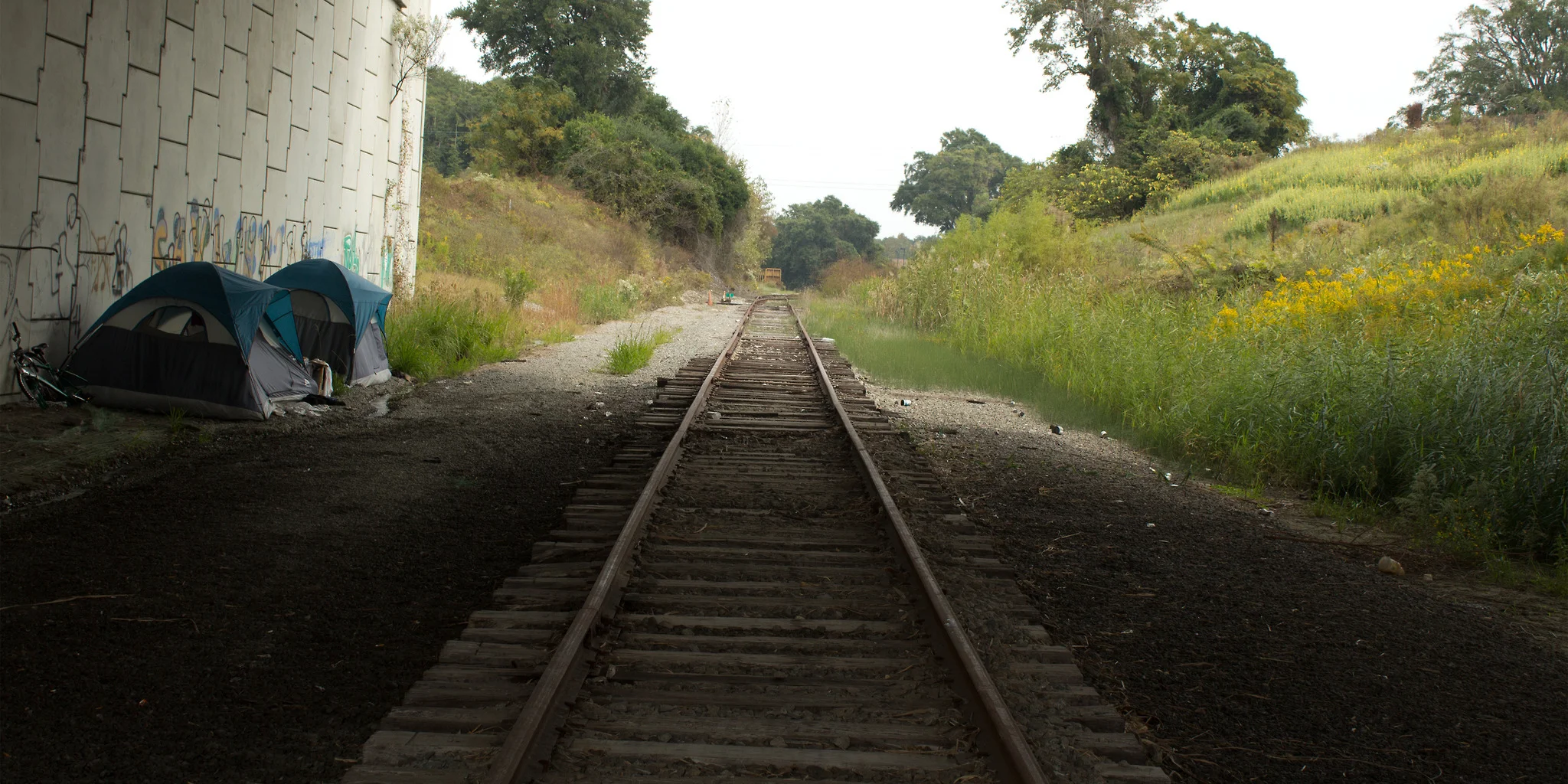 Program 19: Protecting Tenants, Fighting for a Living Wage and the Reality of Homelessness