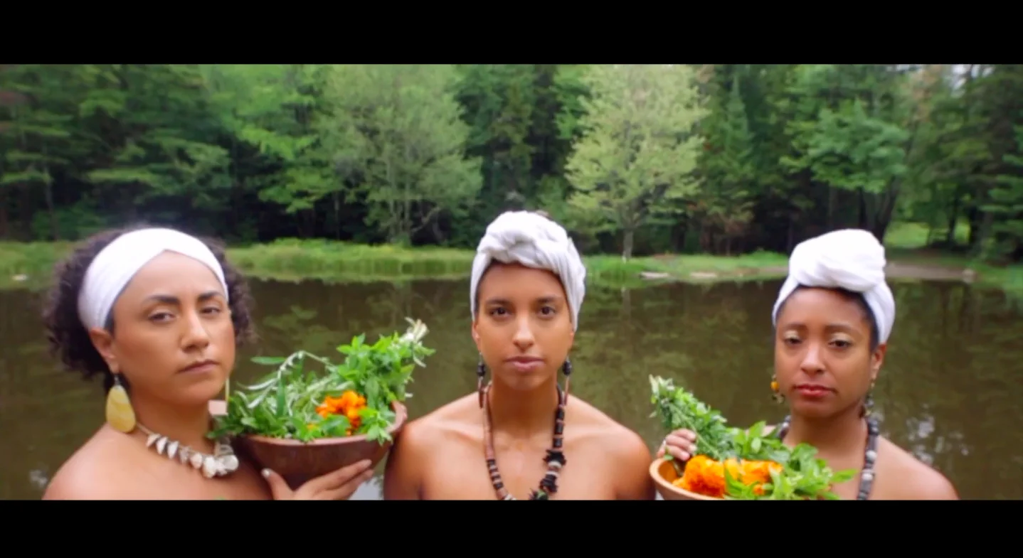Plant-The-Seed-Video-Cover.jpg