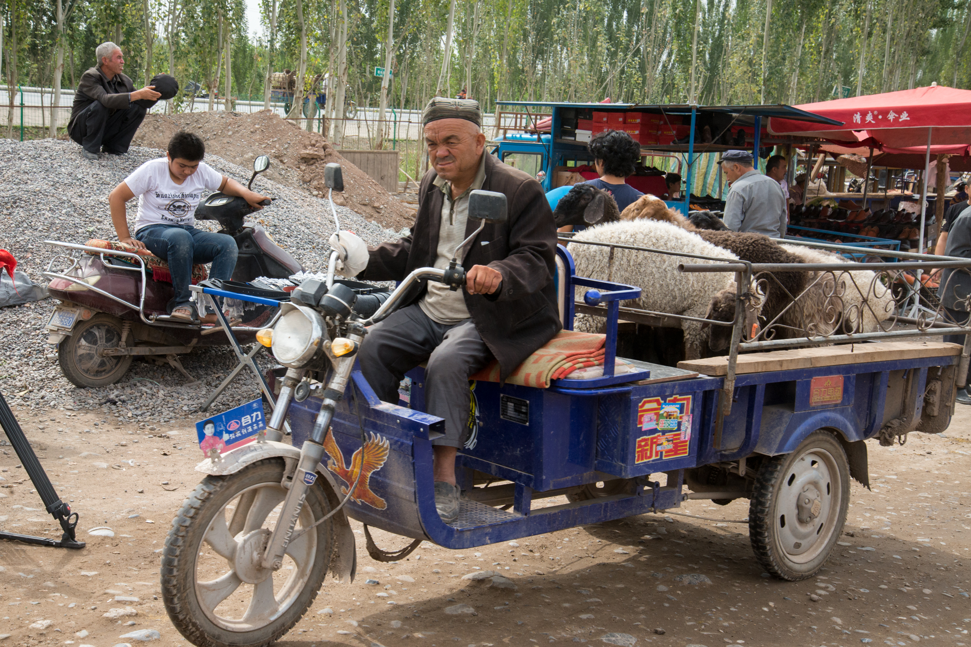 Live Animal Market