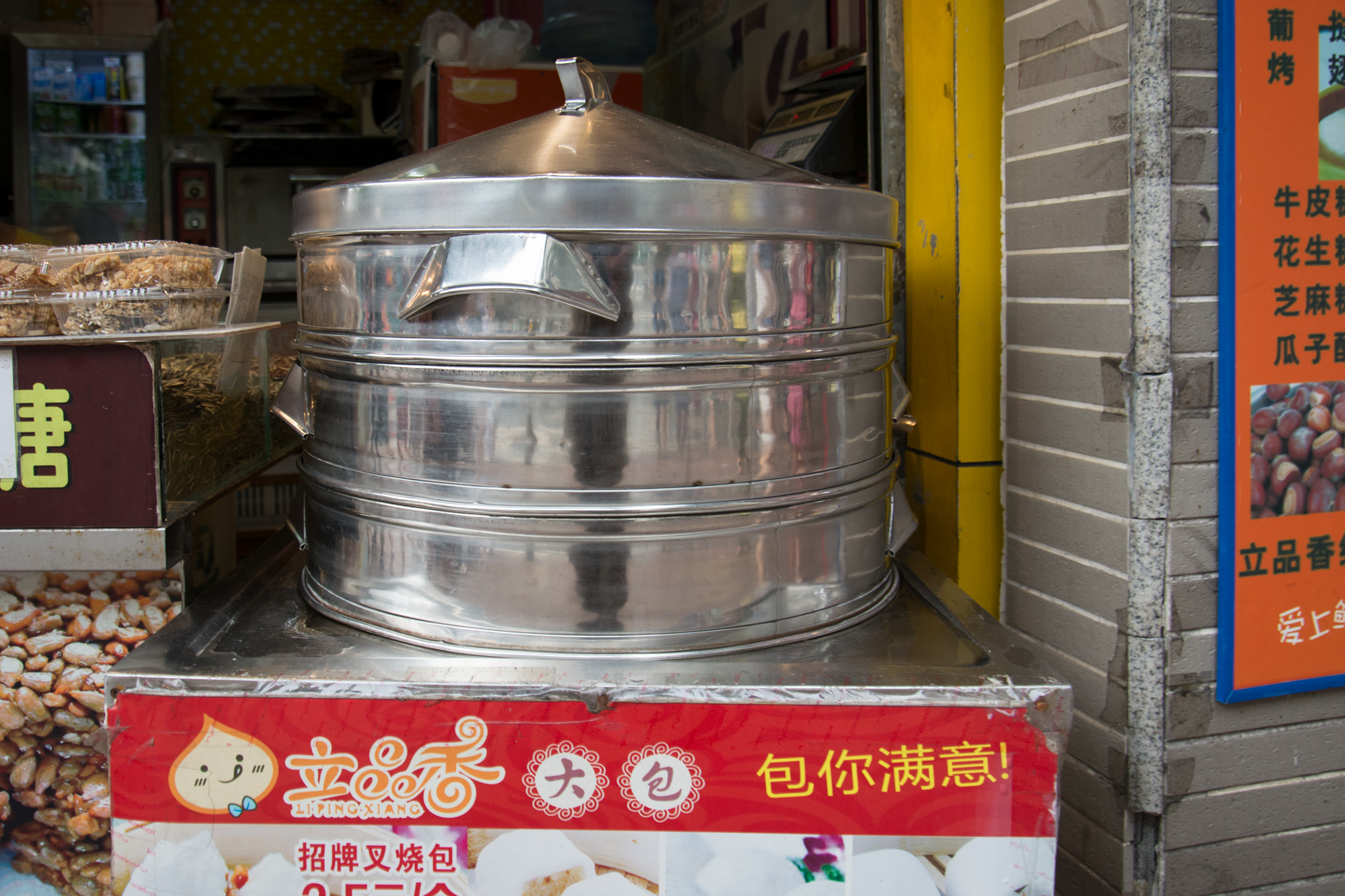 Dumpling Steamer