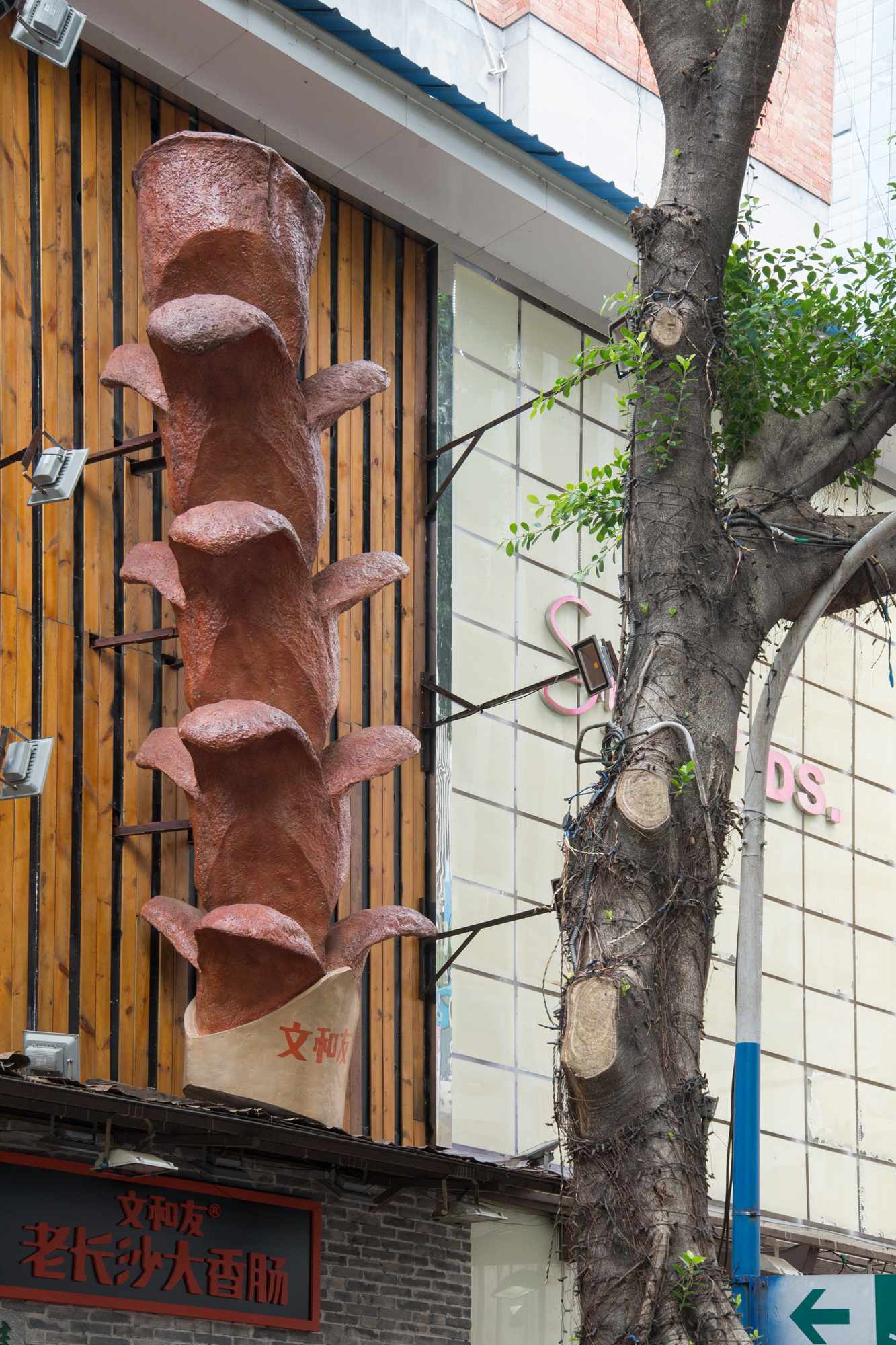 Noodle Shop Sign and Tree