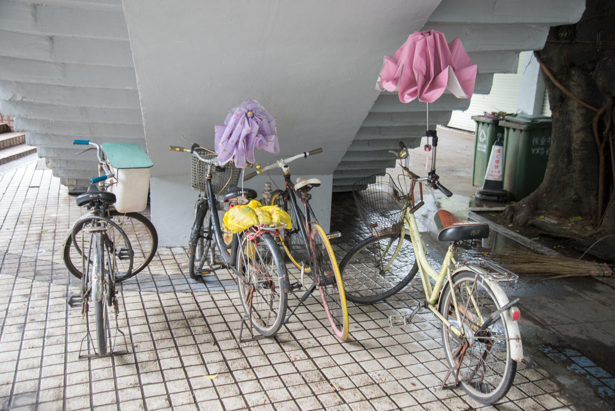 Bicycles w/Umbrellas