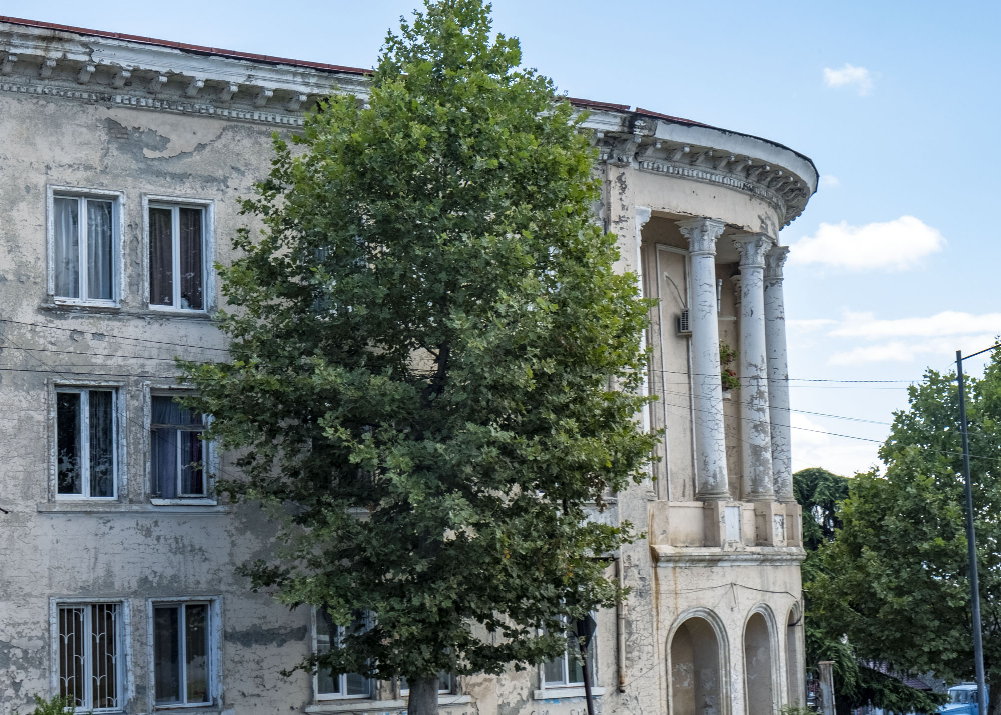 stalin era building with tree.jpg