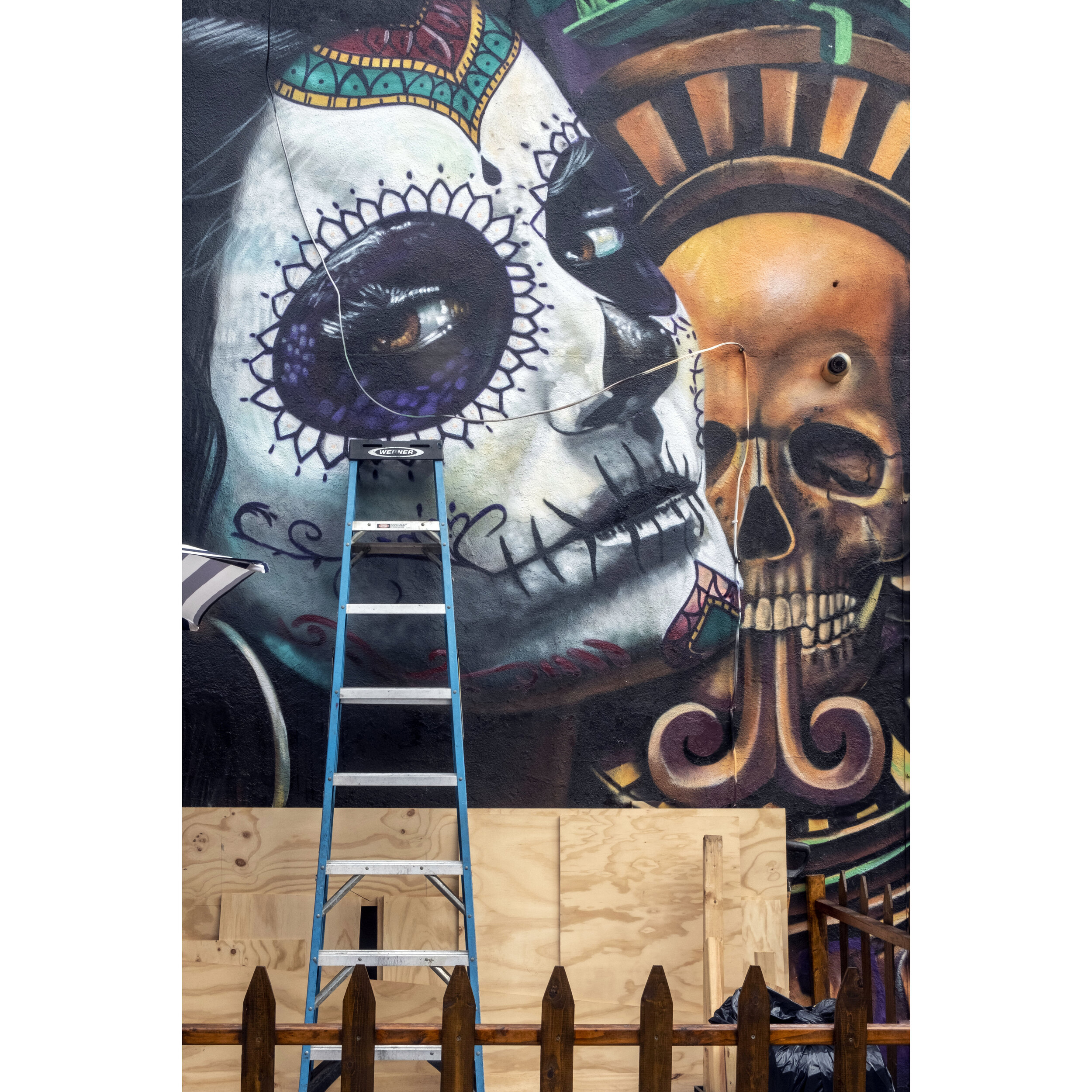 dia del muerte and ladder.jpg