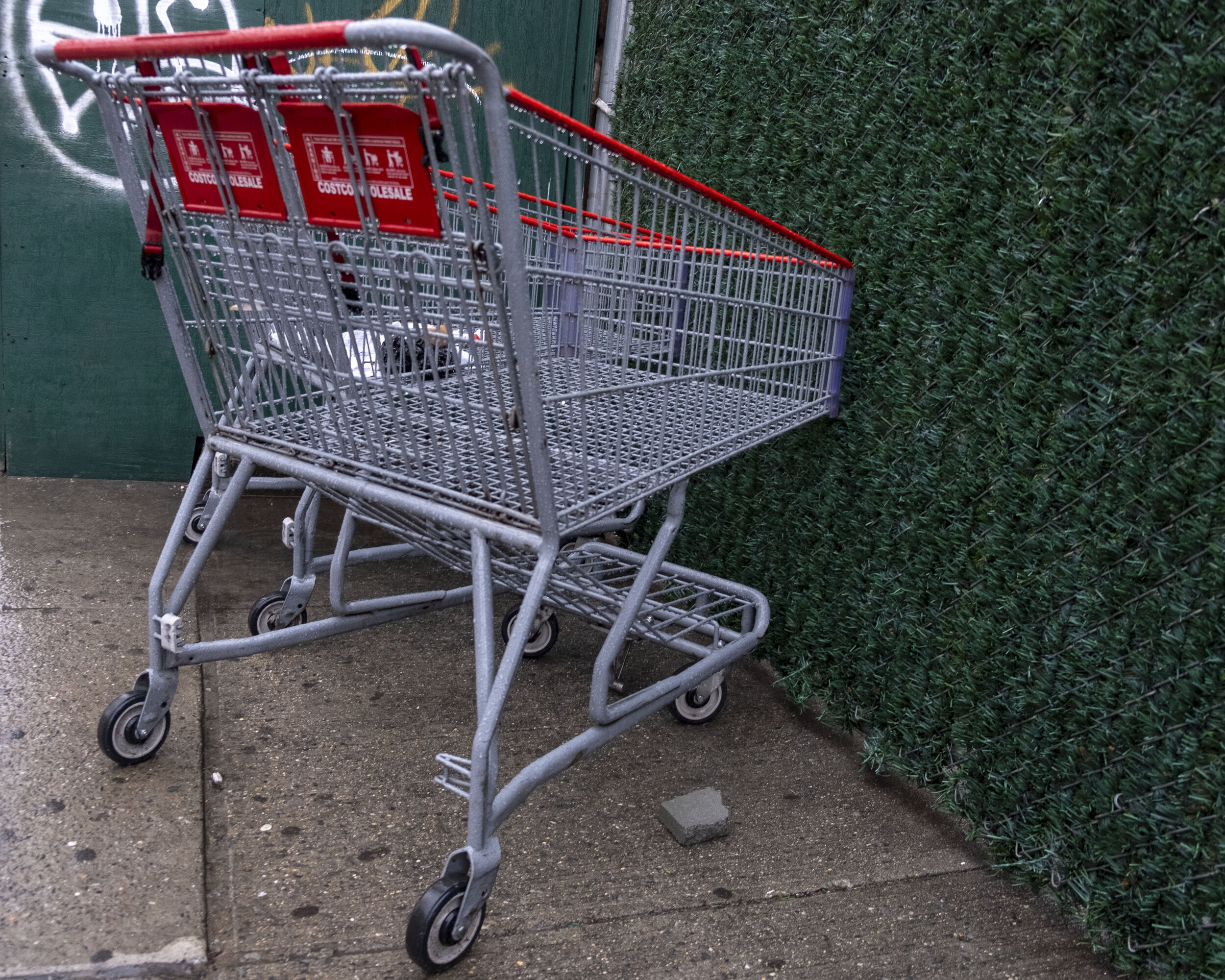 shopping cart with green grass fence.jpg