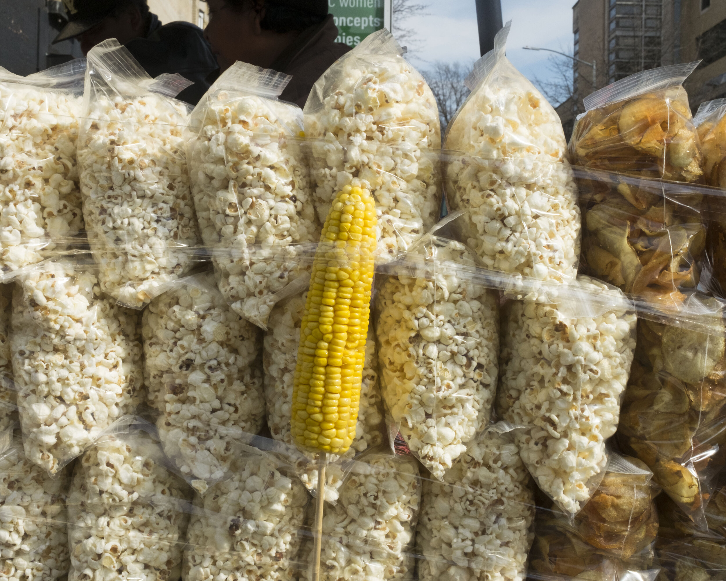 corn and popcorn.jpg