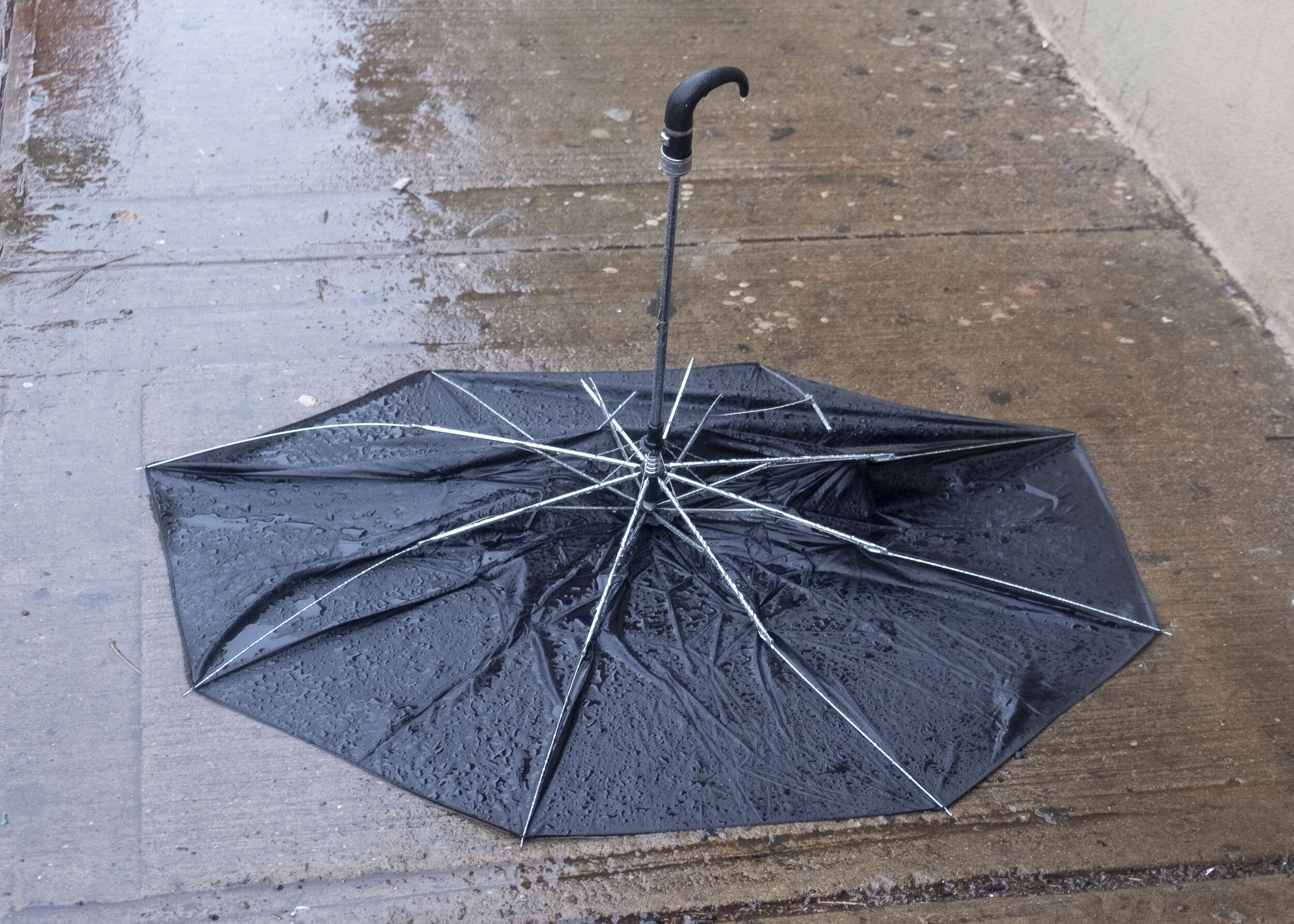 broken umbrella.jpg