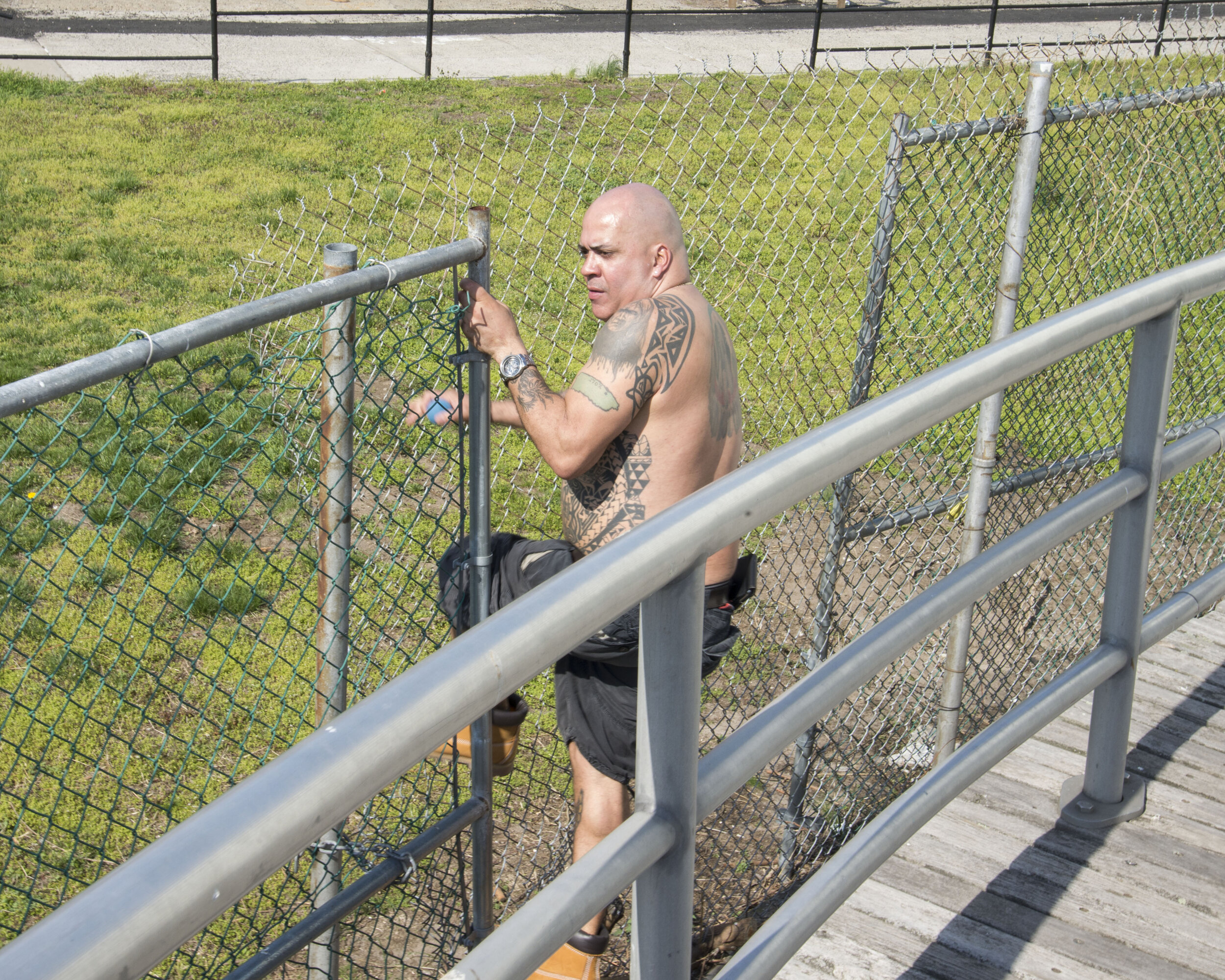 tatoo fence climber.jpg