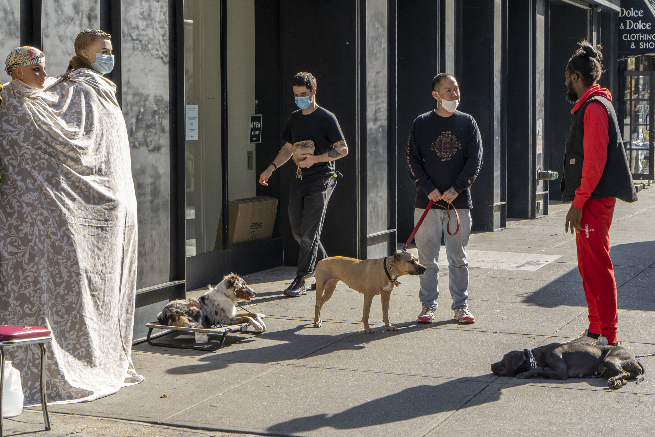 dogwalkers people and manequins.jpg