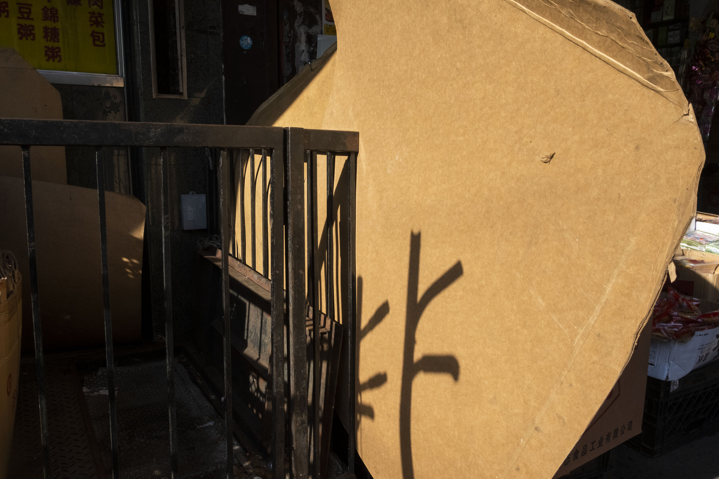 cardboard with fence shadow.jpg