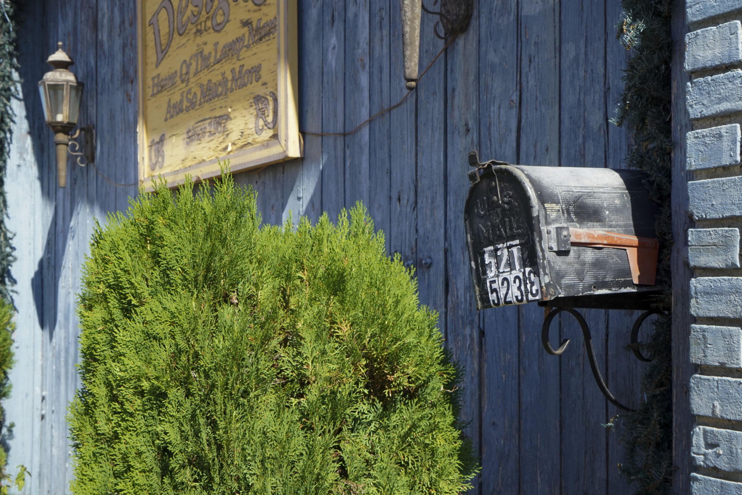 mailbox and bush.jpg