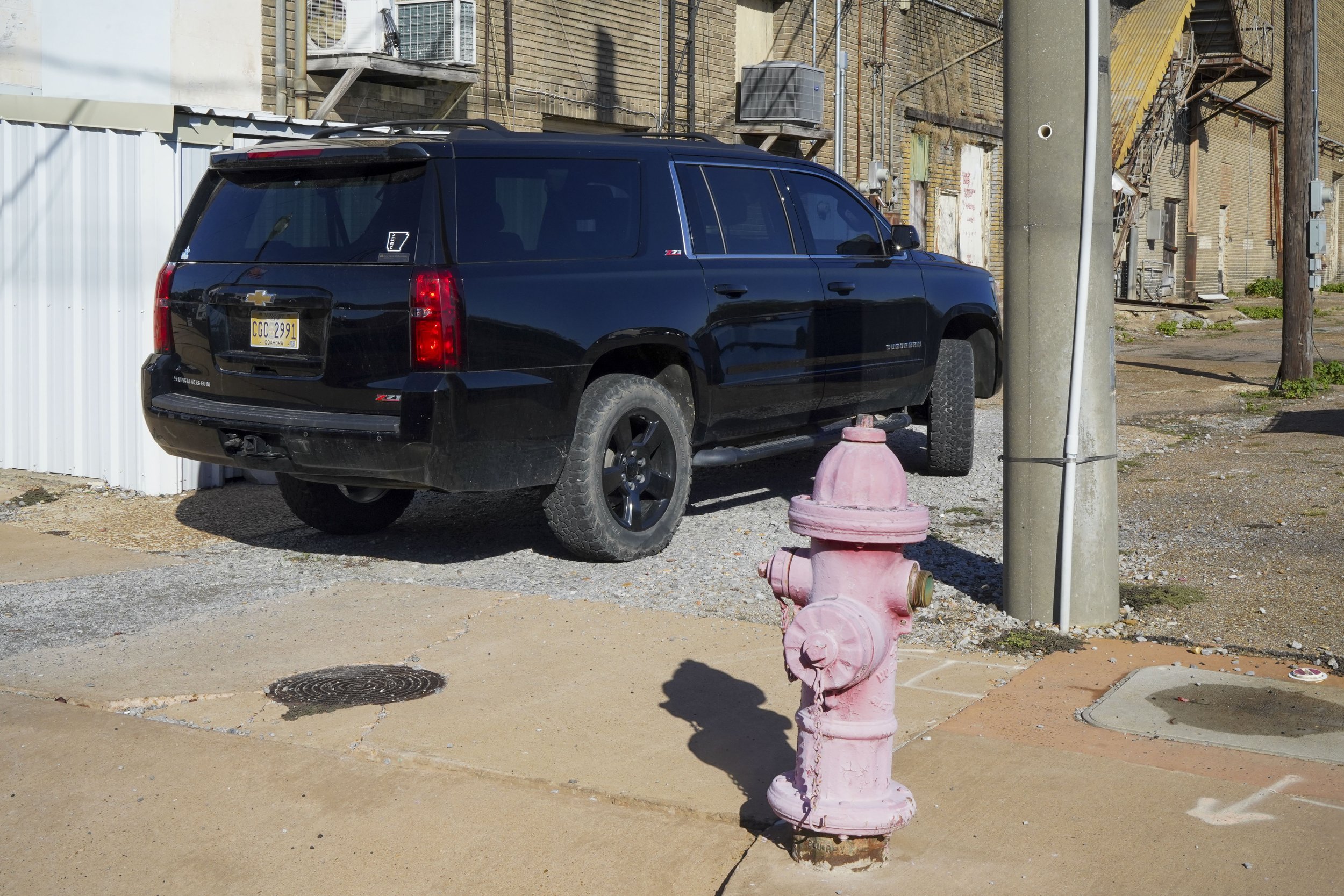 pink hydrant and suv.jpg