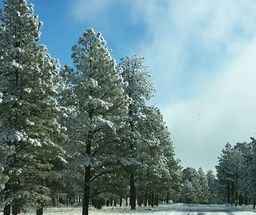 Debunking the Myth: “I should choose a home before talking to mortgage broker.”