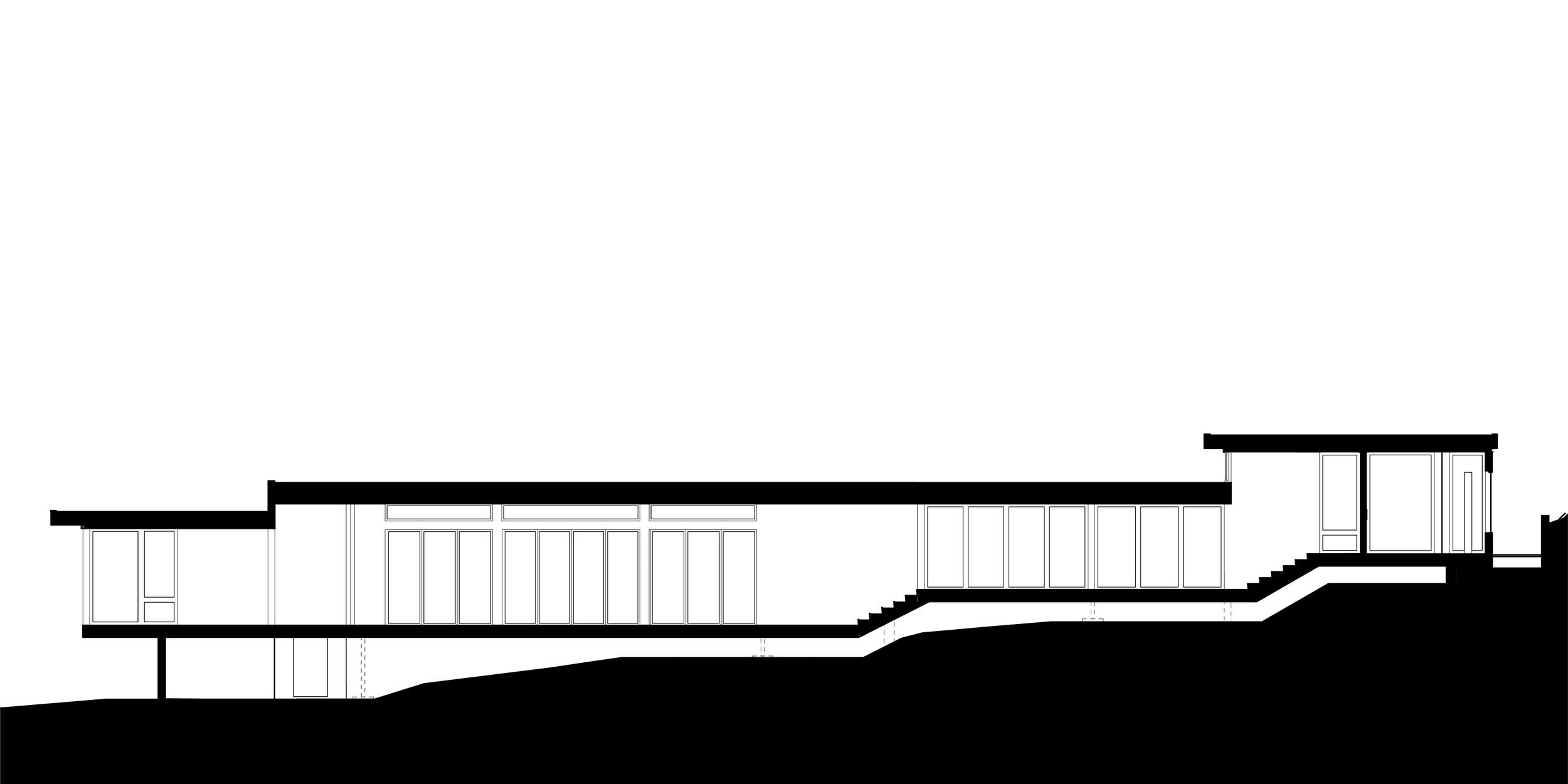 190424_pitkow_section-01.png