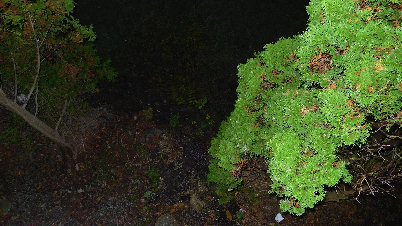 Not a ghost, but we apparently disturbed a poor owl just trying to live his life. He's in the middle left side, looking up, wondering what's going on.