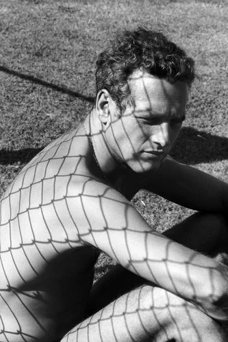 Trying to make it unnatural. Paul Newman by Dennis Hopper, 1964. (1)