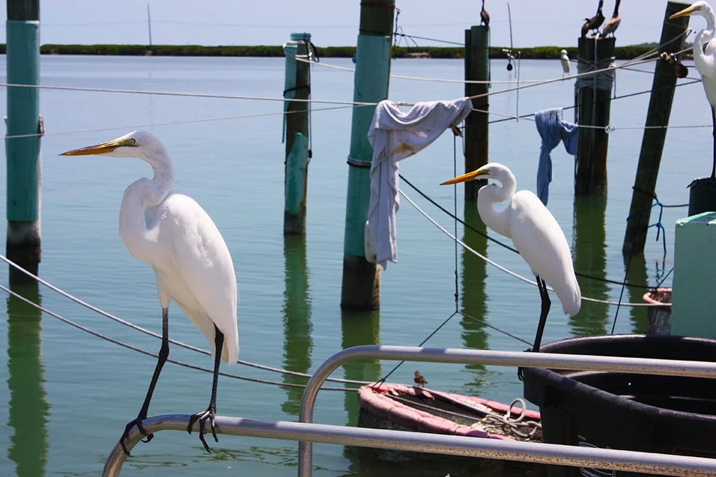 Islamorada, Florida, 2012