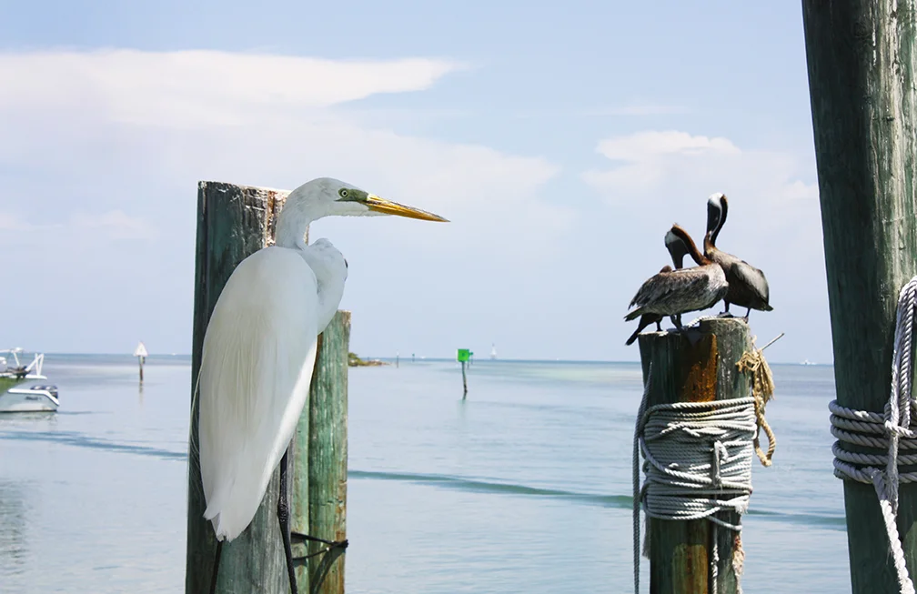 Islamorada, Florida, 2012