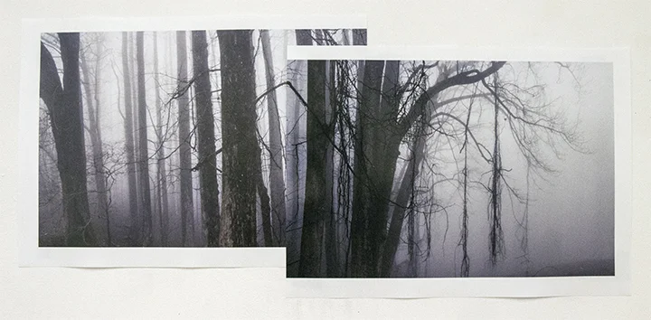 fractured-landscapes.jpeg