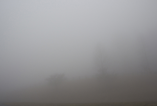fog1.jpg