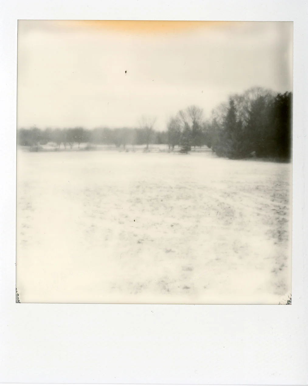 Darkroom-Polaroids013.jpg