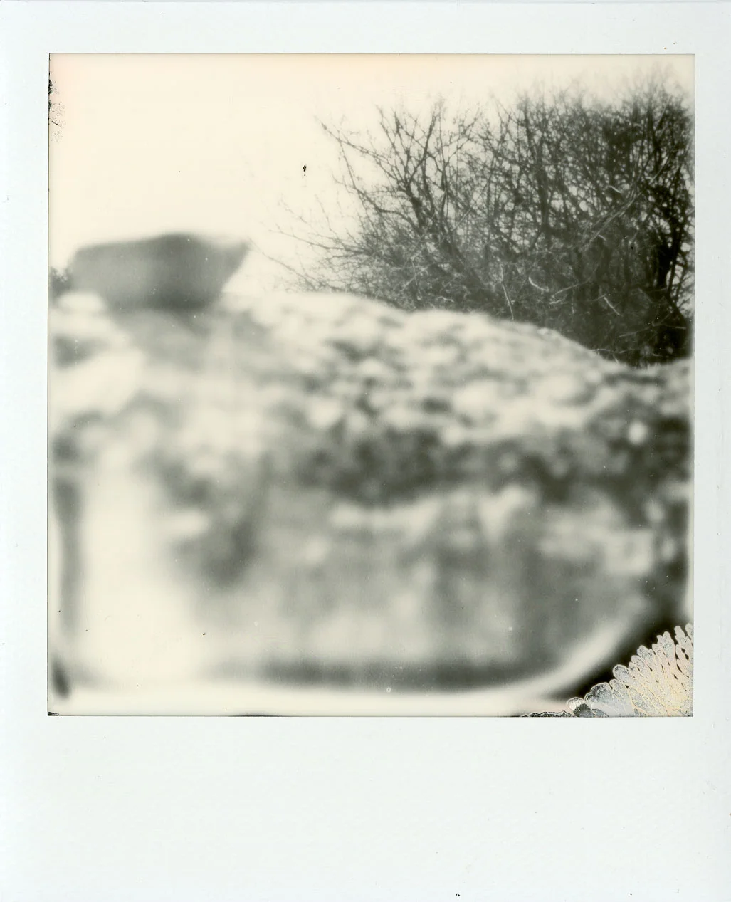 Darkroom-Polaroids017.jpg