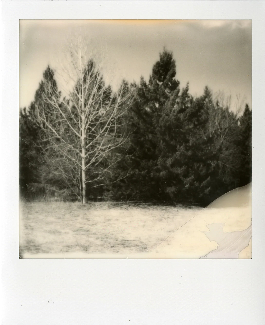 Darkroom Polaroids005.jpg