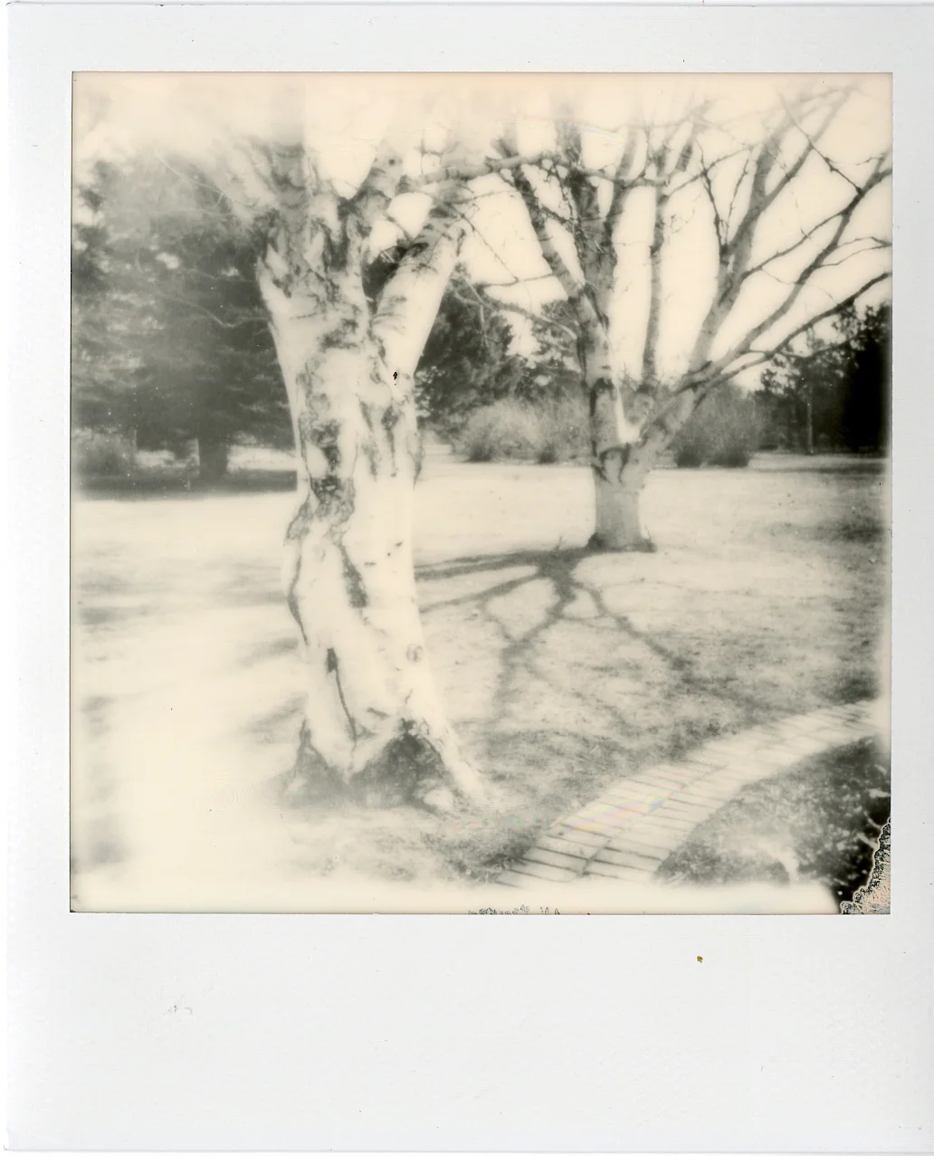Darkroom Polaroids007.jpg