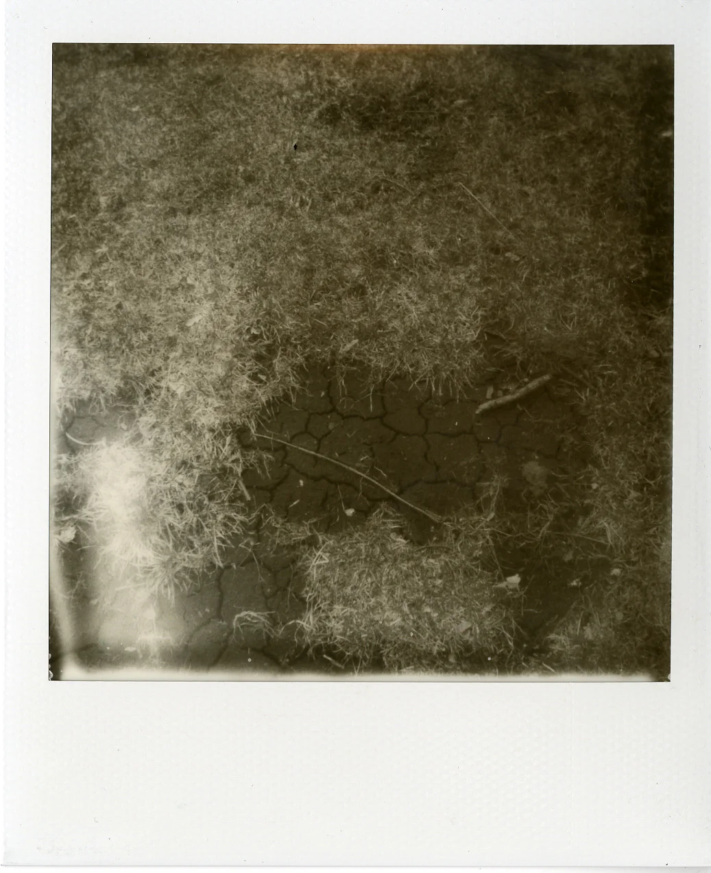 Polaroids030.jpg