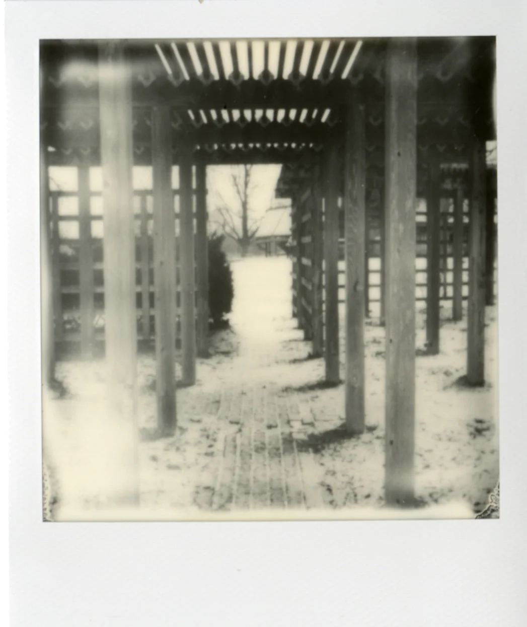 Polaroid048.jpg