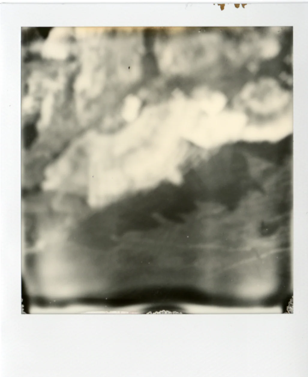 Polaroid060.jpg