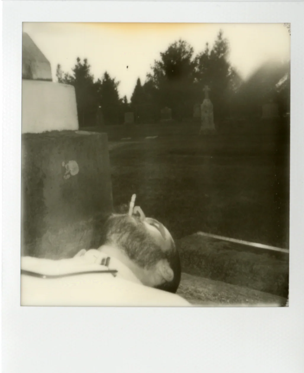 Polaroid064.jpg