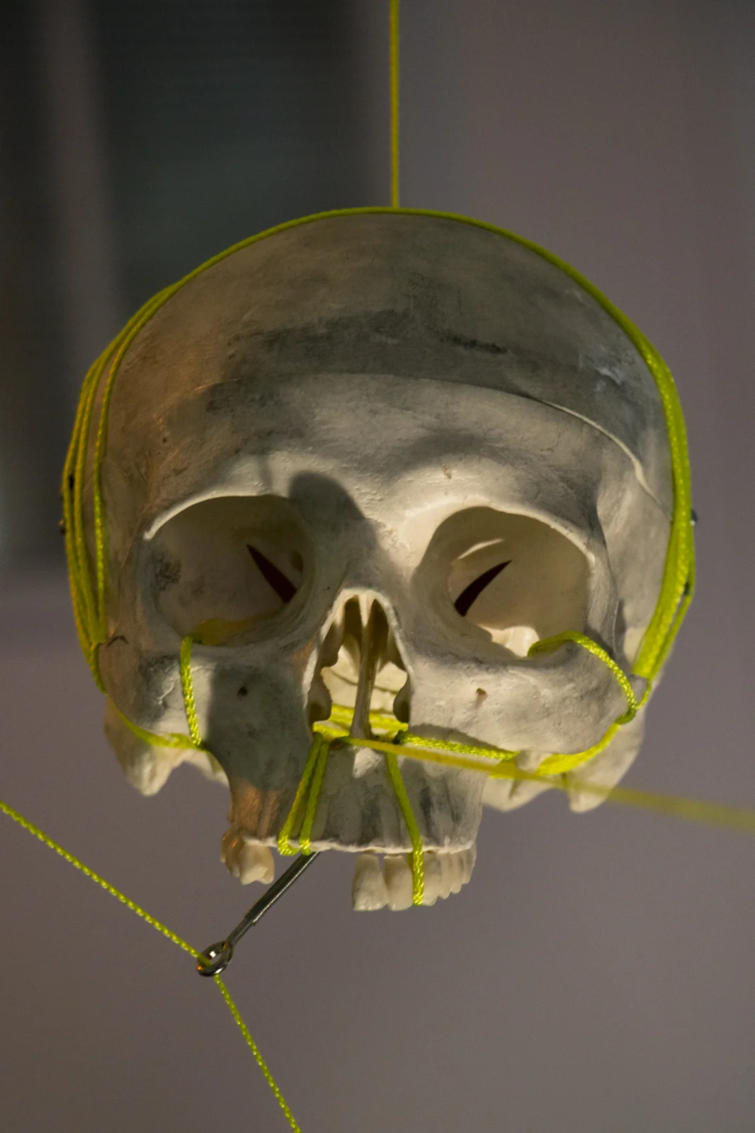 skull_hanging_web.jpg