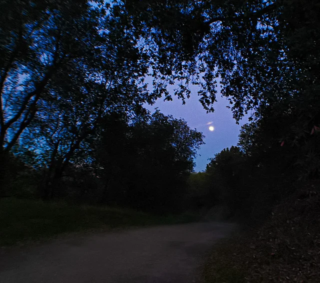 night hiking...