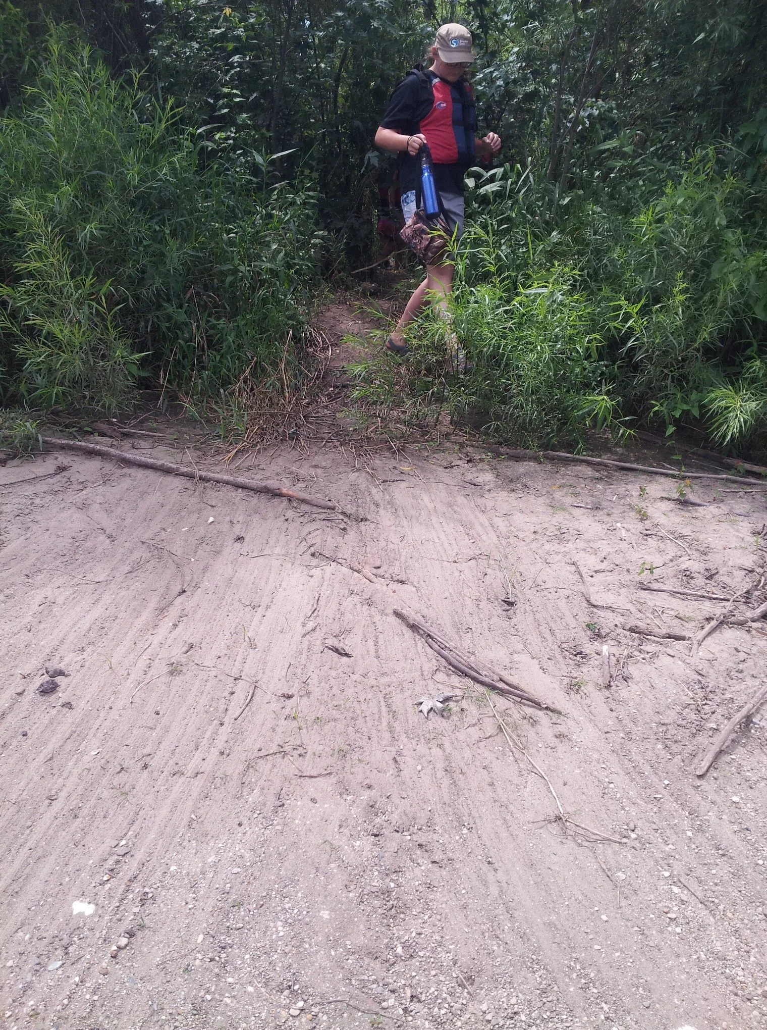 evidence of beaver activity; adolescent human for scale