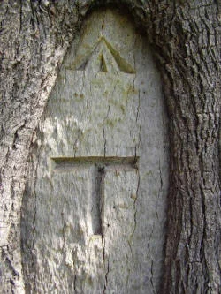 The King’s Broad Arrow Mark