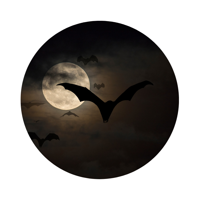 Untitled design(4).png
