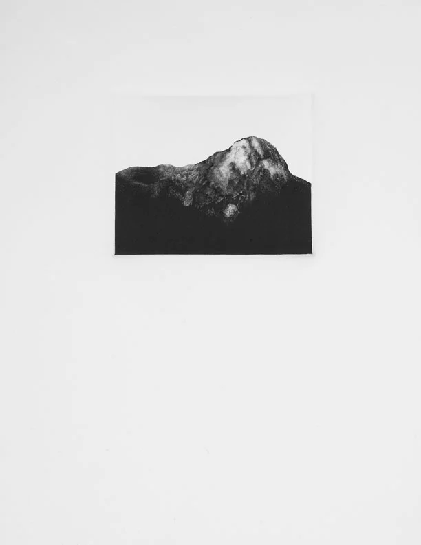 A range, Arranged, Monotype, 11"x15", 2011