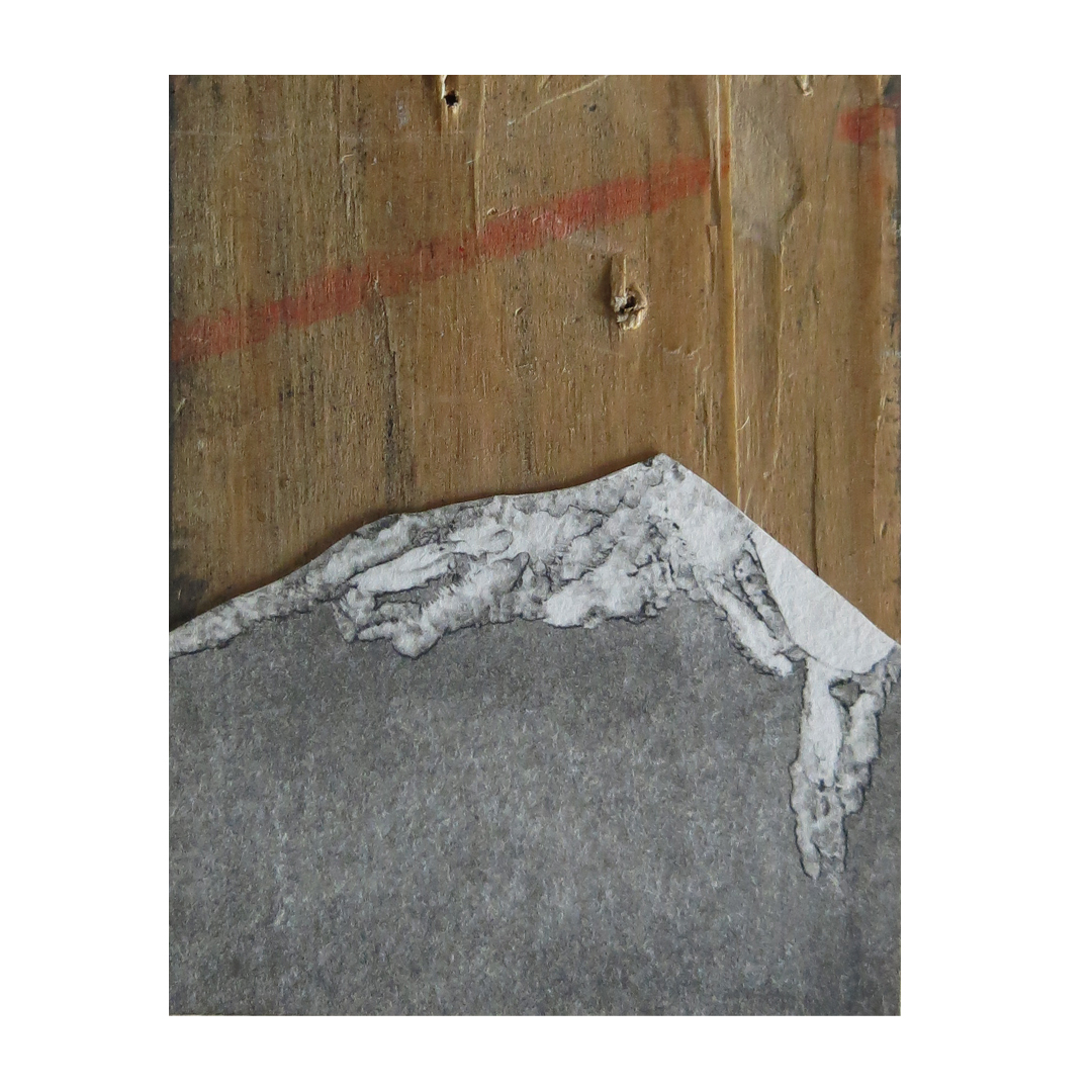  Monotype on wood, Dimensions variable, 2014 