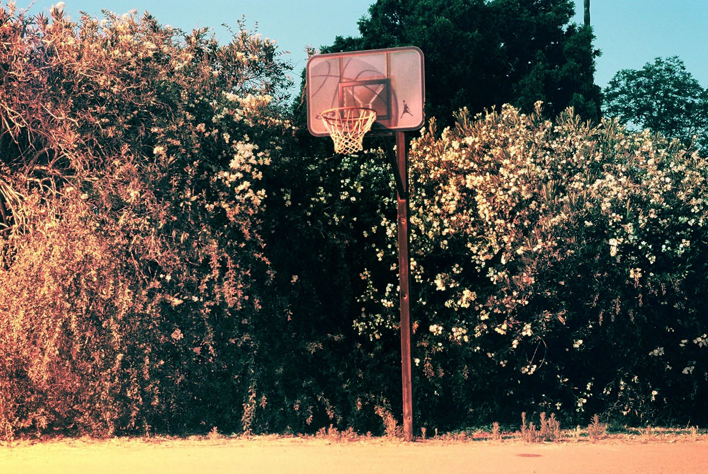 La Mesa, CA Chromogenic Print, 2007