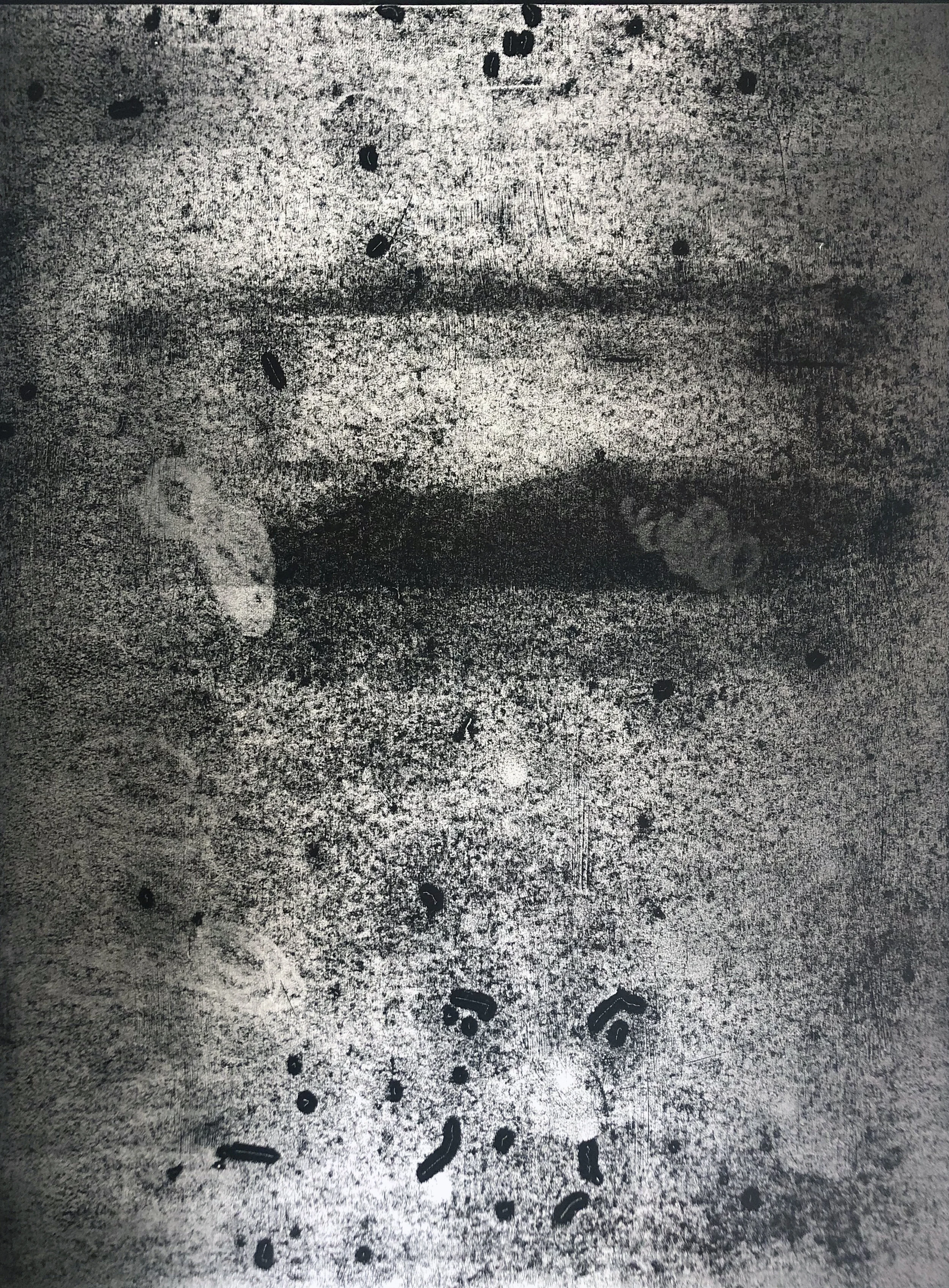 State 9, Monotype Print on Stonehenge paper, 22”X30” 2019