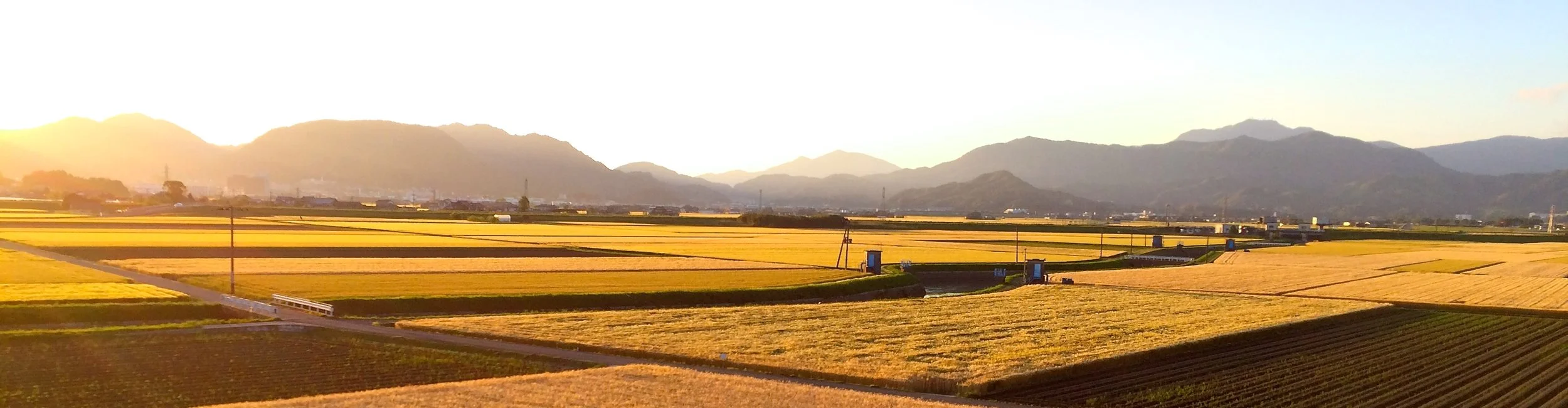 IMG_0719 - Version 3.JPG