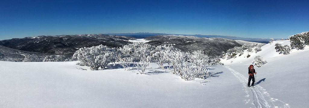 Made it above the treeline, just below South Rams Head