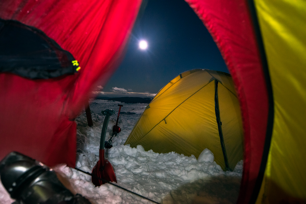View from inside my tent